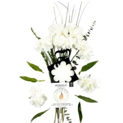 Boxed FlowersFreesia Pear -Exporteren Licht Glam Winkel HIVyGk068935 4 dgl NL